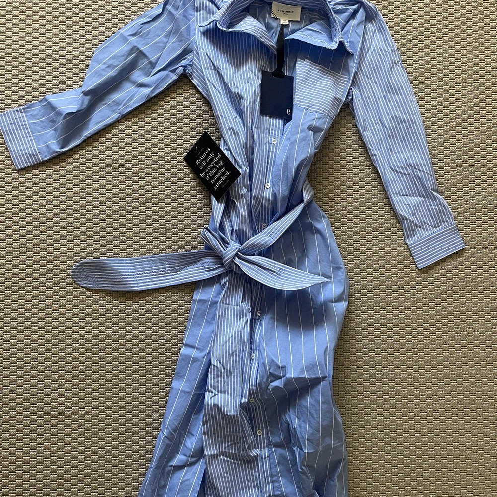 Pomander Place Blue Striped Women's Dress - Picture 5 of 7
